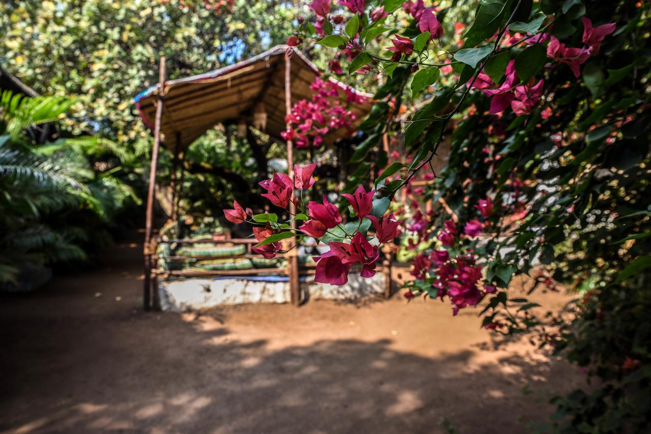Rudra Holidays Guest House Arambol Eksteriør bilde
